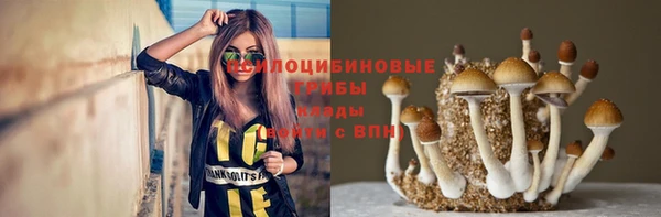 spice Горно-Алтайск