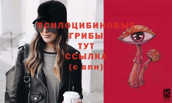 кокаин премиум Горнозаводск