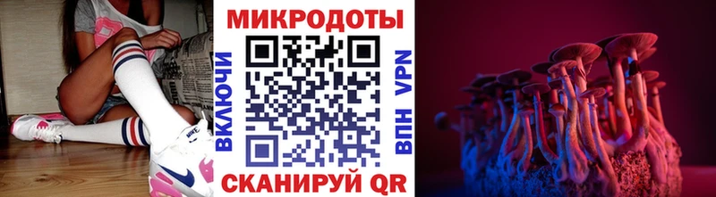 Купить закладки  Обнинск  Псилоцибиновые грибы GOLDEN TEACHER 